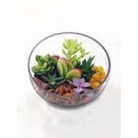 Envelor Home and Garden Superior Quality Glass Terrariums Hanging Teardrop Glass Terrarium Indoor Succulent Decor DIY No Plants and Options With Plants   570115553